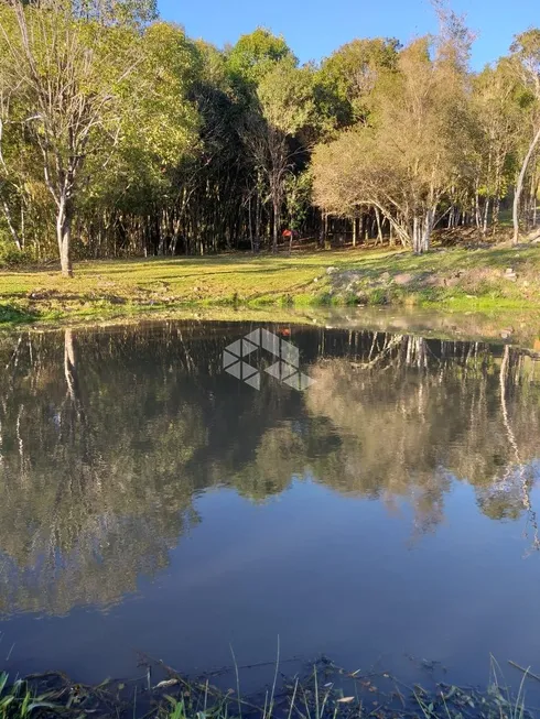 Foto 1 de Fazenda/Sítio com 1 Quarto à venda, 13812m² em Nova Sardenha, Farroupilha