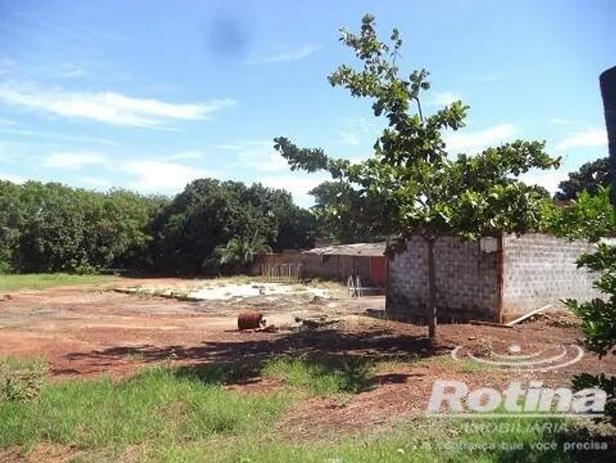 Foto 1 de para alugar, 70m² em Jardim Brasília, Uberlândia