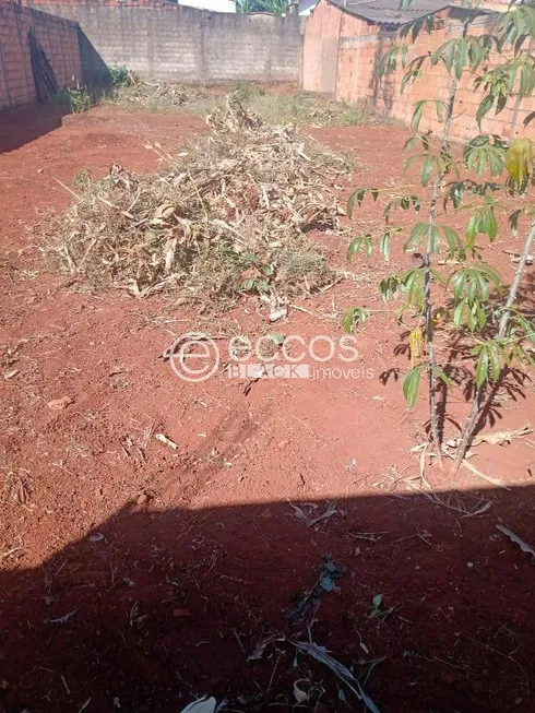 Foto 1 de Lote/Terreno à venda, 300m² em Aclimacao, Uberlândia