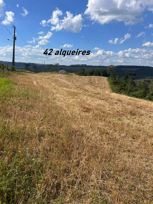 Foto 1 de Fazenda/Sítio com 2 Quartos à venda, 1016400m² em Zona Rural, Rio Negrinho