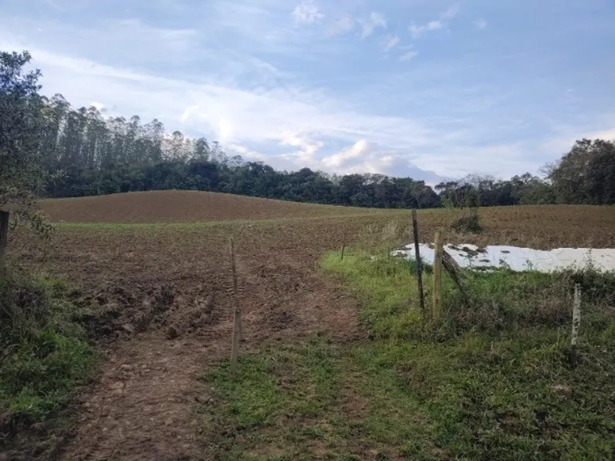 Foto 1 de Fazenda/Sítio com 4 Quartos à venda, 4m² em , Taió