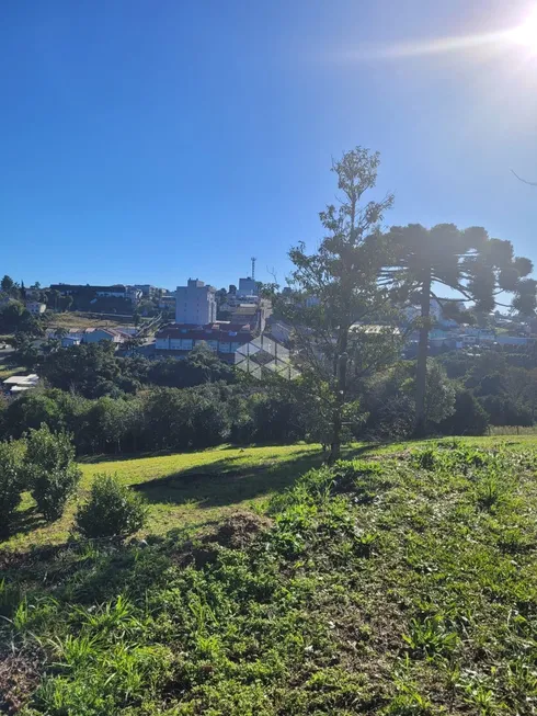 Foto 1 de Lote/Terreno à venda, 1603m² em Volta Grande, Farroupilha