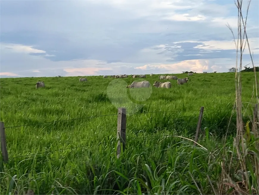 Foto 1 de Fazenda/Sítio com 1 Quarto à venda, 17550000m² em Centro, Coxim