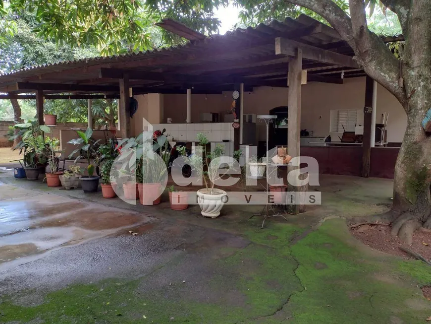 Foto 1 de Fazenda/Sítio com 3 Quartos à venda, 5000m² em Panorama, Uberlândia