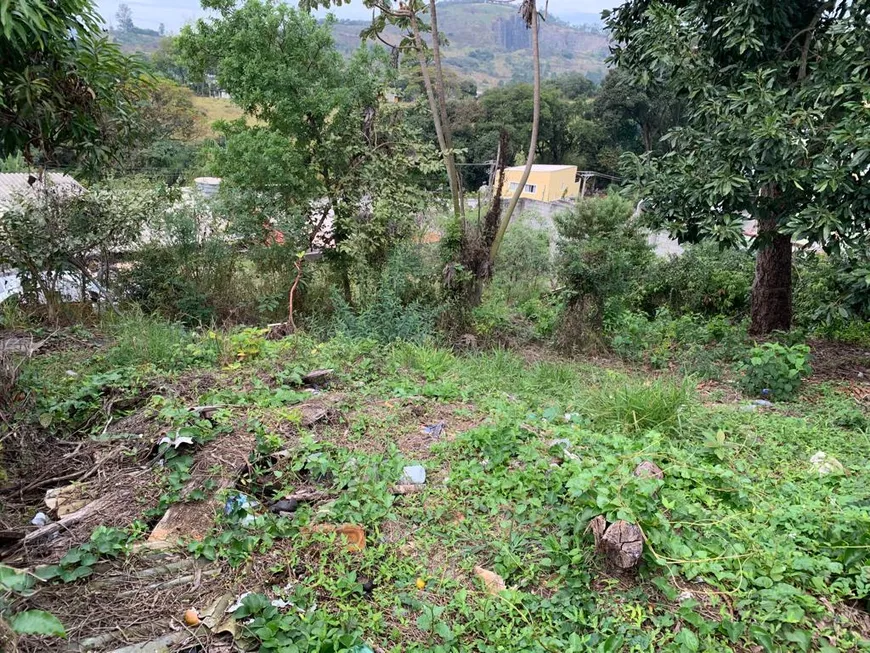 Foto 1 de Lote/Terreno à venda, 330m² em Vila Nova São Roque, São Roque