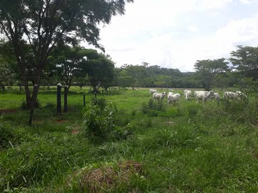 Foto 1 de Lote/Terreno à venda, 20000m² em Zona Rural, Araçaí