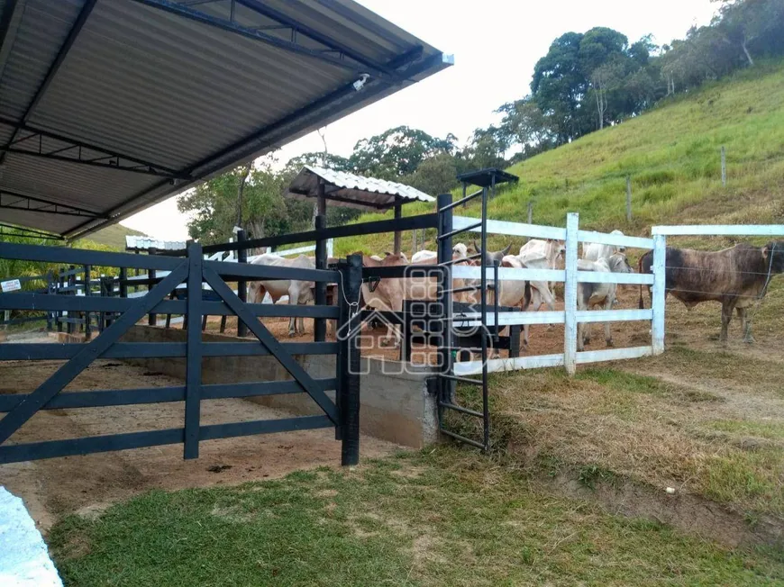 Foto 1 de Fazenda/Sítio com 3 Quartos à venda, 350m² em Funchal, Cachoeiras de Macacu