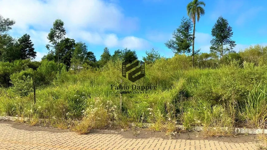 Foto 1 de Lote/Terreno à venda, 342m² em , Dois Irmãos