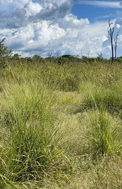 Foto 1 de Fazenda/Sítio à venda em Zona Rural, Abadia de Goiás