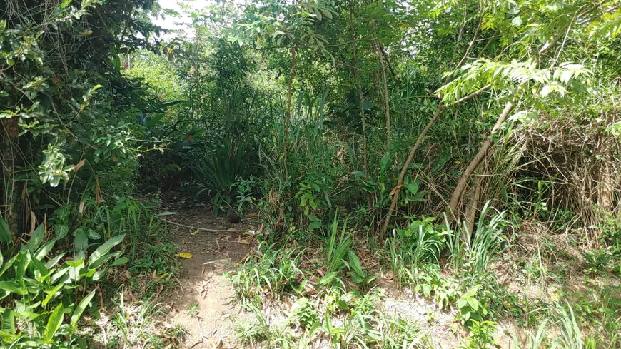 Foto 1 de Lote/Terreno à venda, 550m² em Jacaroá, Maricá