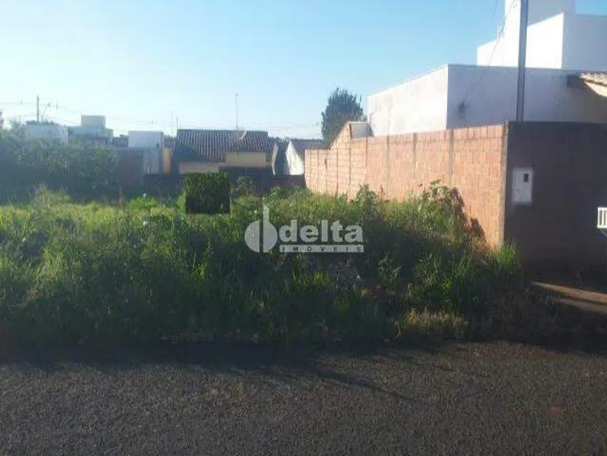 Foto 1 de Lote/Terreno à venda, 259m² em Nova Uberlandia, Uberlândia