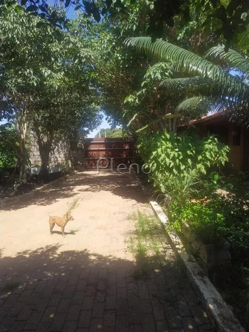 Foto 1 de Fazenda/Sítio com 2 Quartos à venda, 1000m² em Parque Independência, Cosmópolis