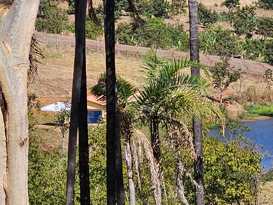 Foto 1 de Fazenda/Sítio à venda, 85000m² em Setor Santa Barbara, Abadia de Goiás