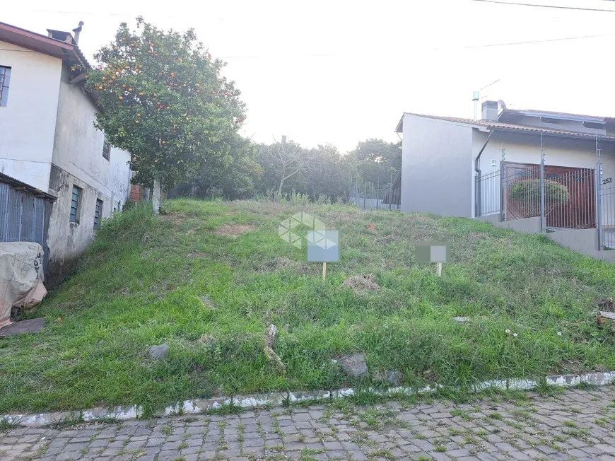 Foto 1 de Lote/Terreno à venda, 313m² em Santa Catarina, Farroupilha