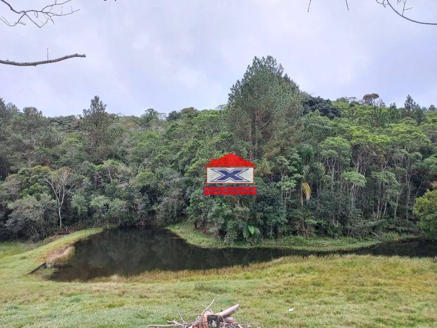 Foto 1 de Fazenda/Sítio com 3 Quartos à venda, 200m² em Verava, Ibiúna