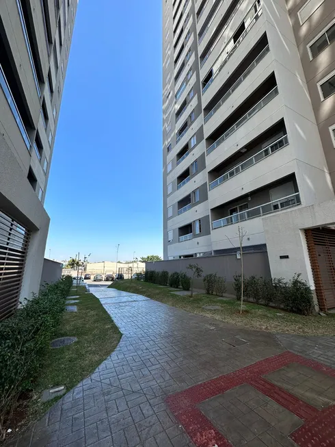 Foto 1 de Apartamento com 2 Quartos para alugar, 50m² em Vila Metalurgica, Santo André