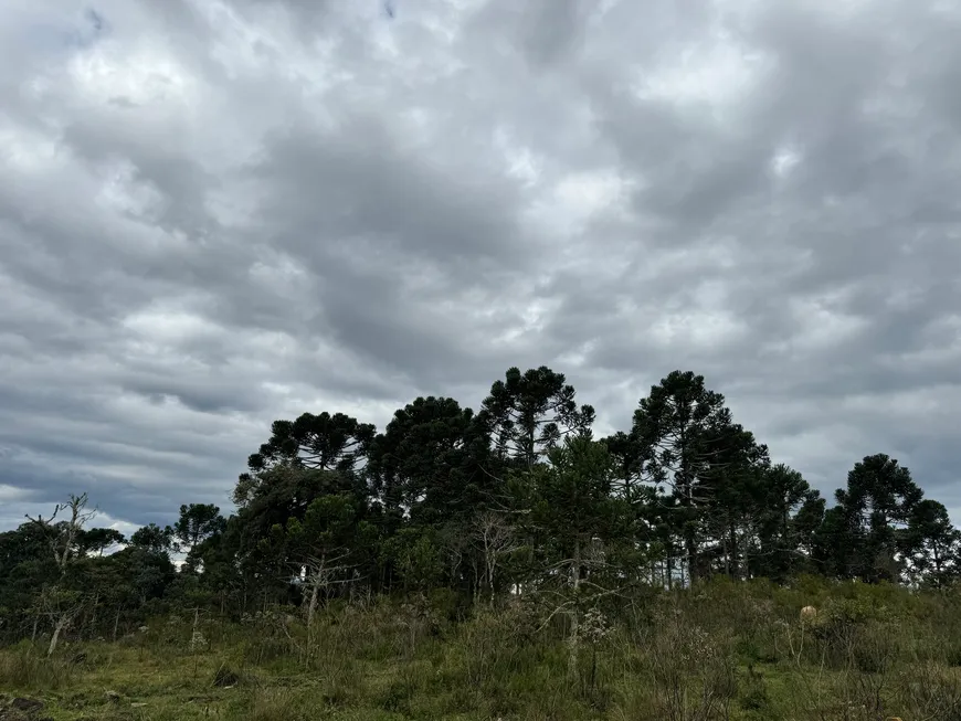 Foto 1 de Lote/Terreno à venda, 20000m² em , Urubici