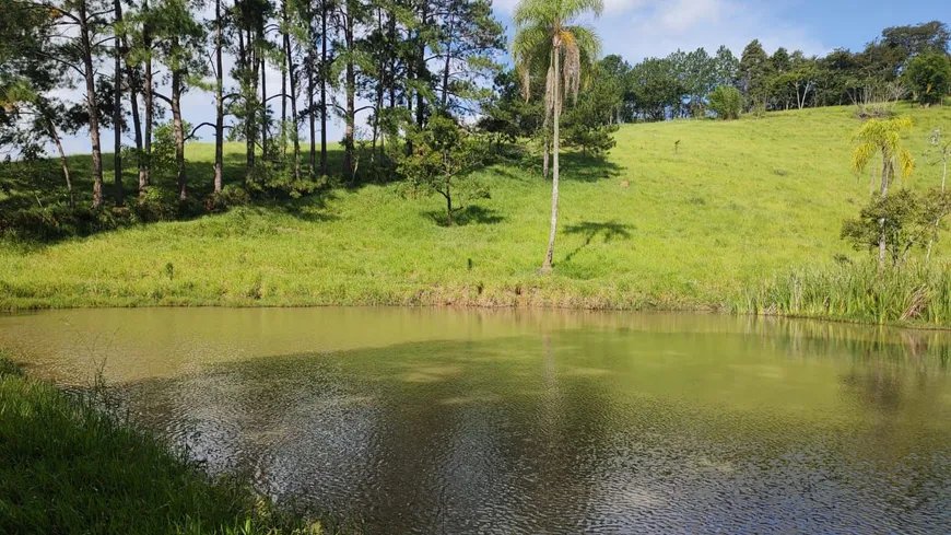 Foto 1 de Lote/Terreno à venda, 500m² em Parque Residencial Itapeti, Mogi das Cruzes