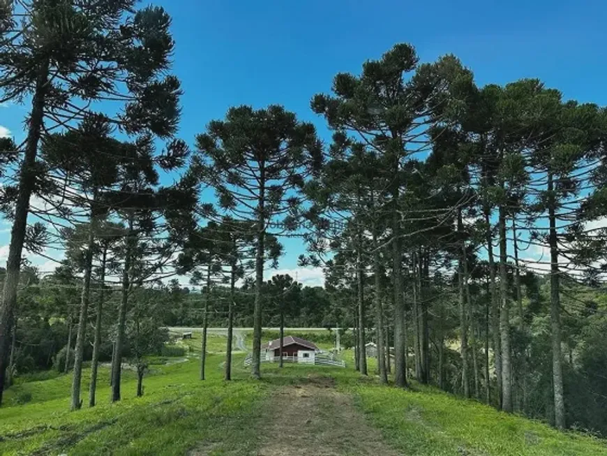 Foto 1 de Fazenda/Sítio à venda, 540000m² em Zona Rural, Bocaina do Sul