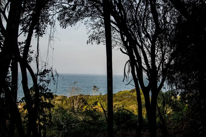 Foto 1 de Lote/Terreno à venda, 10000m² em Armação do Pântano do Sul, Florianópolis