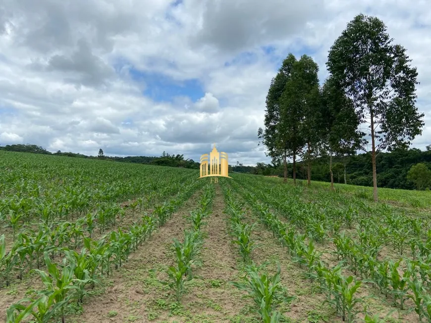 Foto 1 de Fazenda/Sítio com 7 Quartos à venda, 300m² em São José, Esmeraldas