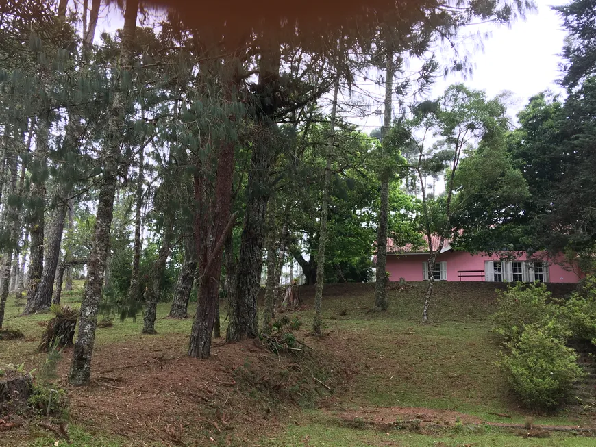 Foto 1 de Fazenda/Sítio com 3 Quartos à venda, 30000m² em , Campos do Jordão