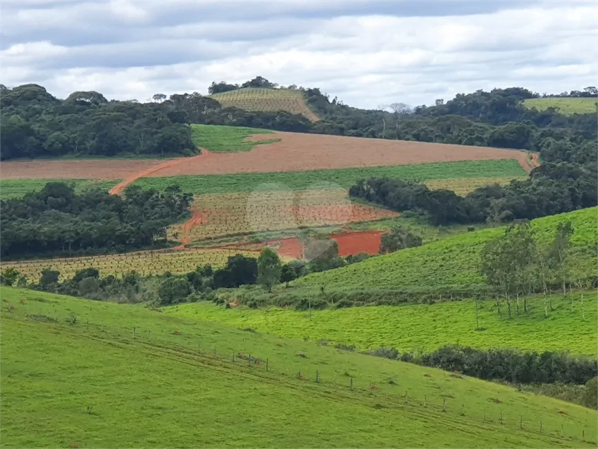 Foto 1 de Fazenda/Sítio com 1 Quarto à venda, 1968800m² em Centro, São Gonçalo do Sapucaí