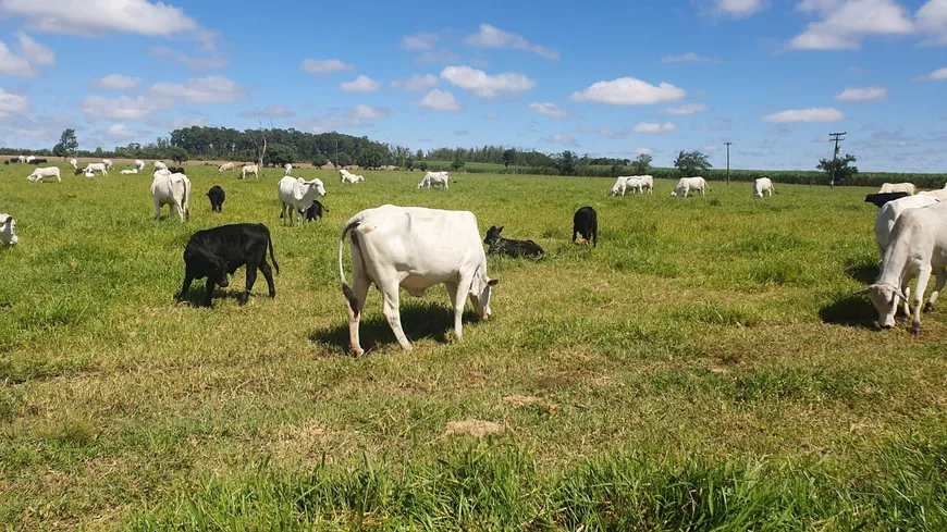 Foto 1 de Fazenda/Sítio com 3 Quartos à venda, 641832400m² em Area Rural de Cerqueira Cesar, Cerqueira César