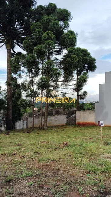 Foto 1 de Lote/Terreno à venda, 232m² em Santa Cândida, Curitiba