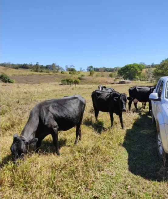 Foto 1 de Fazenda/Sítio à venda, 120000m² em Zona Rural, São Brás do Suaçuí