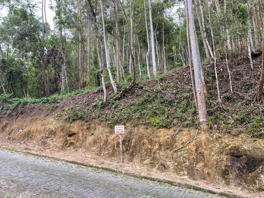 Foto 1 de Lote/Terreno à venda, 792m² em Cônego, Nova Friburgo