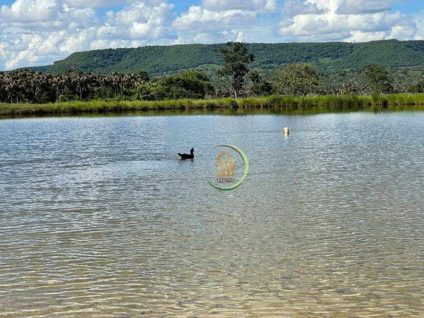 Foto 1 de Fazenda/Sítio à venda, 87313600m² em Centro, Serranópolis