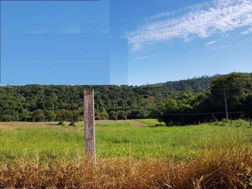 Foto 1 de Lote/Terreno à venda, 8000m² em , Pedra Bela