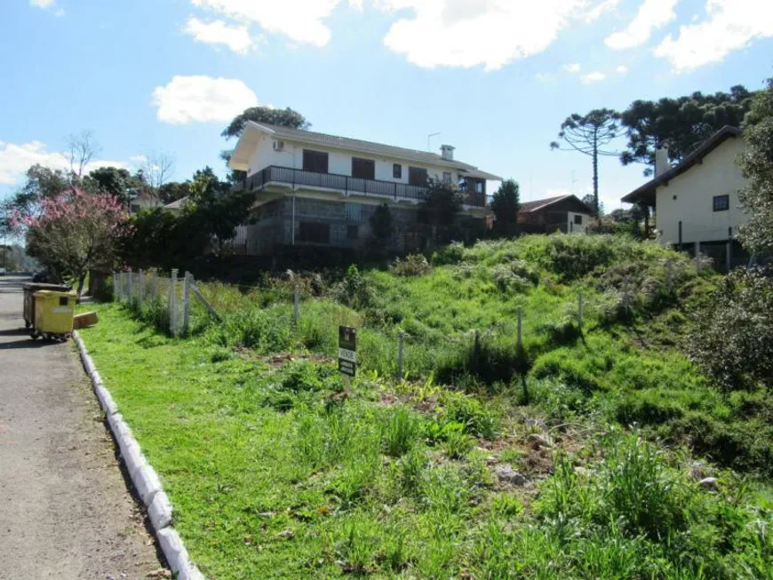 Foto 1 de Lote/Terreno à venda, 392m² em Avenida Central, Gramado