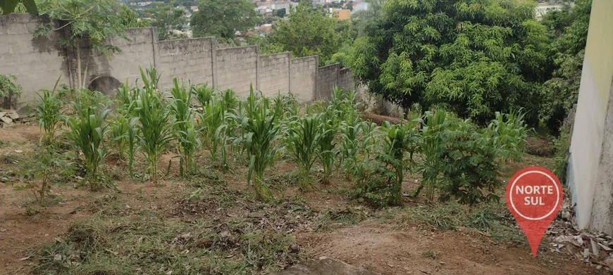 Foto 1 de Lote/Terreno à venda, 500m² em , Florestal