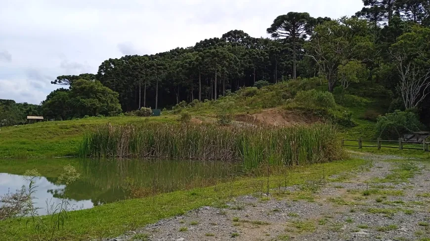 Foto 1 de Fazenda/Sítio à venda, 20000m² em Rancho Alegre, Campina Grande do Sul