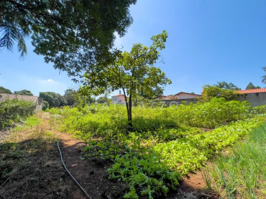 Foto 1 de Lote/Terreno à venda, 2500m² em Jardim do Lago, Limeira