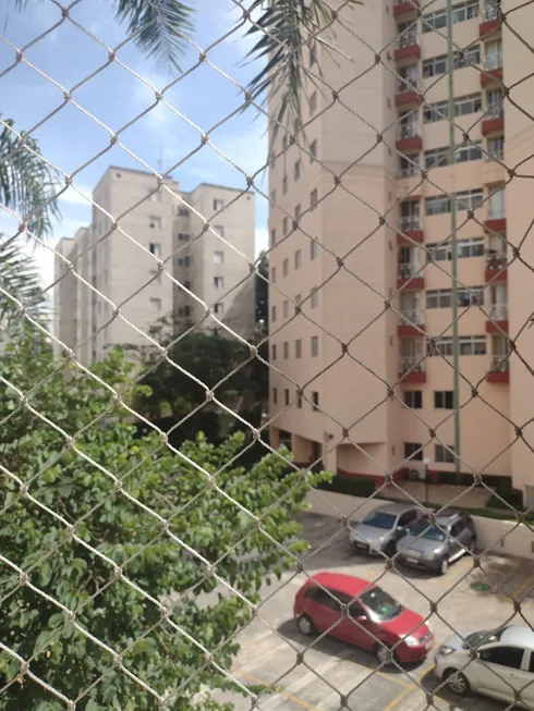 Foto 1 de Apartamento com 2 Quartos para alugar, 53m² em Vila Constança, São Paulo