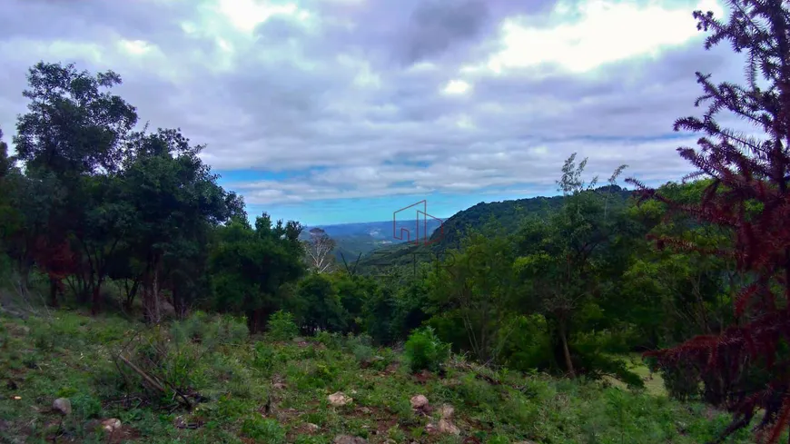 Foto 1 de Fazenda/Sítio à venda, 52000m² em Carazal, Gramado