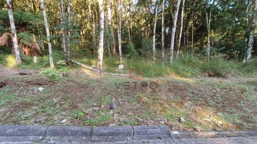 Foto 1 de Lote/Terreno à venda, 663m² em Pinheiro Grosso, Canela