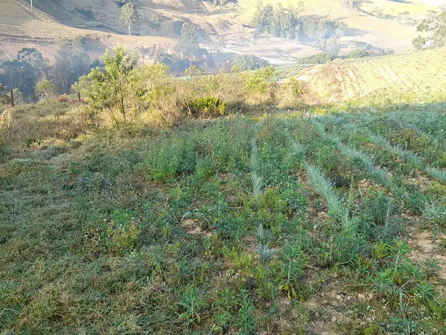 Foto 1 de Fazenda/Sítio à venda, 600m² em Zona Rural, Delfim Moreira