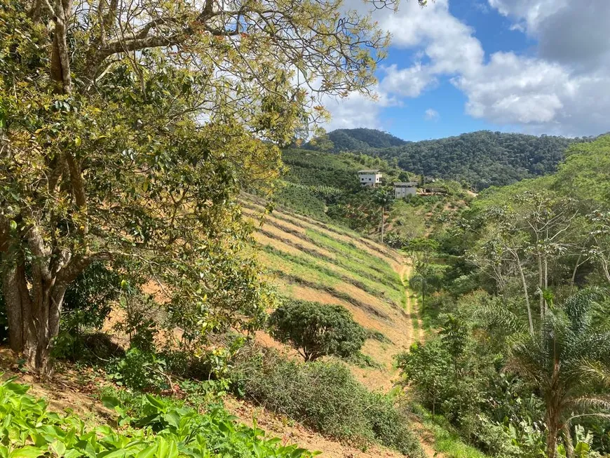 Foto 1 de Fazenda/Sítio à venda, 90000m² em Zona Rural, Santa Teresa