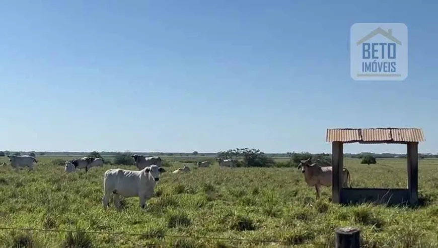 Foto 1 de Fazenda/Sítio à venda, 2420000m² em Centro, Quissamã