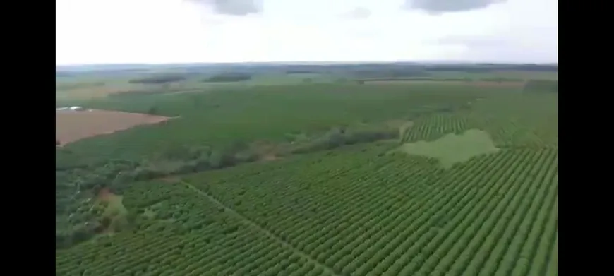 Foto 1 de Fazenda/Sítio com 2 Quartos à venda, 150m² em Zona Rural, Pereira Barreto