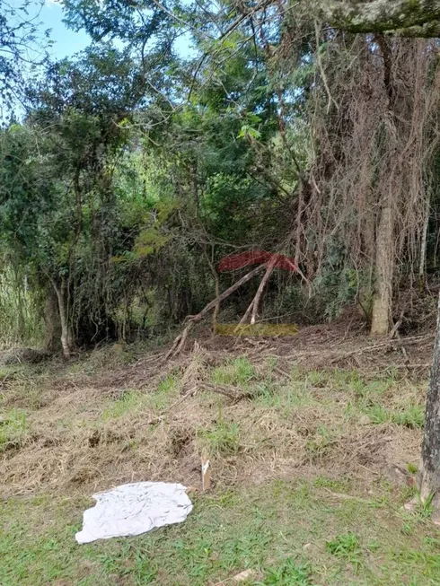 Foto 1 de Lote/Terreno à venda, 410m² em Jardim Peri, São Paulo