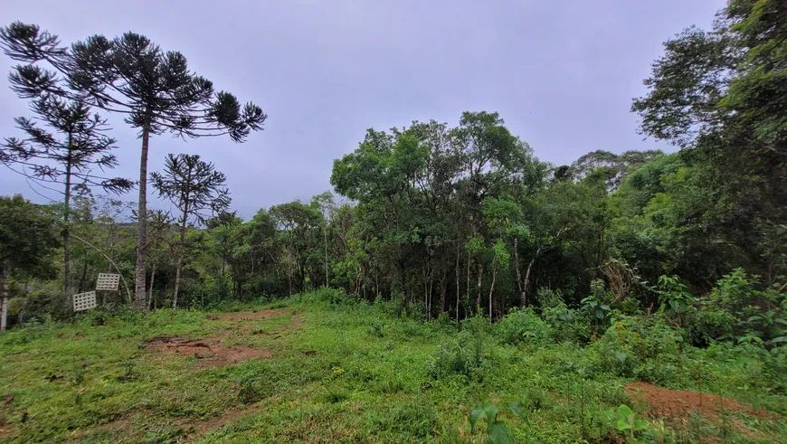 Foto 1 de Fazenda/Sítio à venda, 20000m² em Zona Rural, Campo Alegre