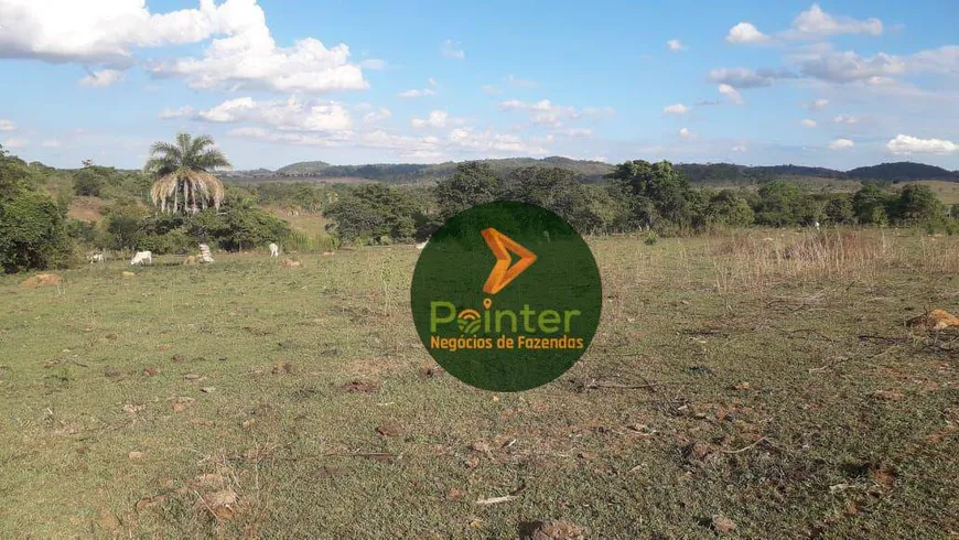 Foto 1 de Fazenda/Sítio com 2 Quartos à venda, 508200m² em Zona Rural, Trindade