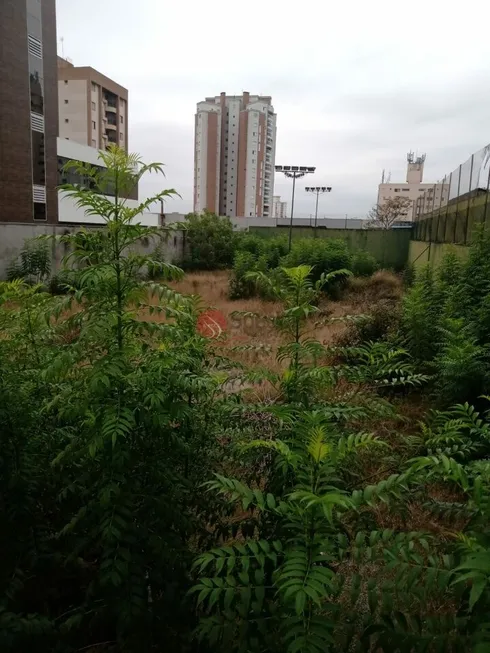 Foto 1 de Lote/Terreno para venda ou aluguel, 867m² em Tatuapé, São Paulo