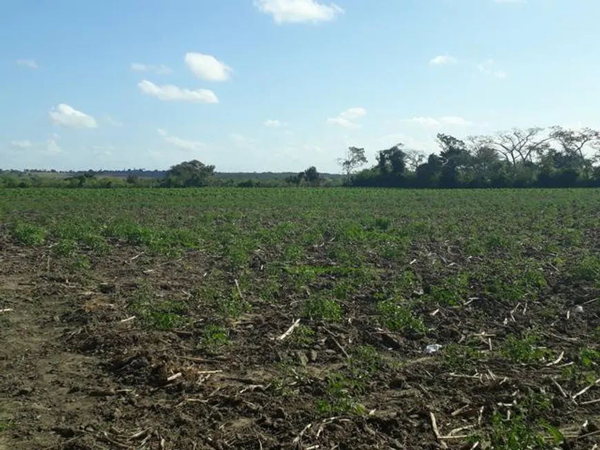 Foto 1 de Fazenda/Sítio com 4 Quartos à venda, 20000m² em Monte Alegre, Monte Alegre