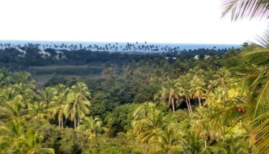 Foto 1 de Lote/Terreno à venda, 39000m² em , Mata de São João